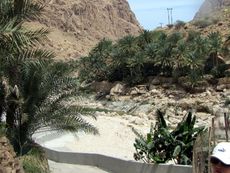 202 Wadi Tiwi.JPG